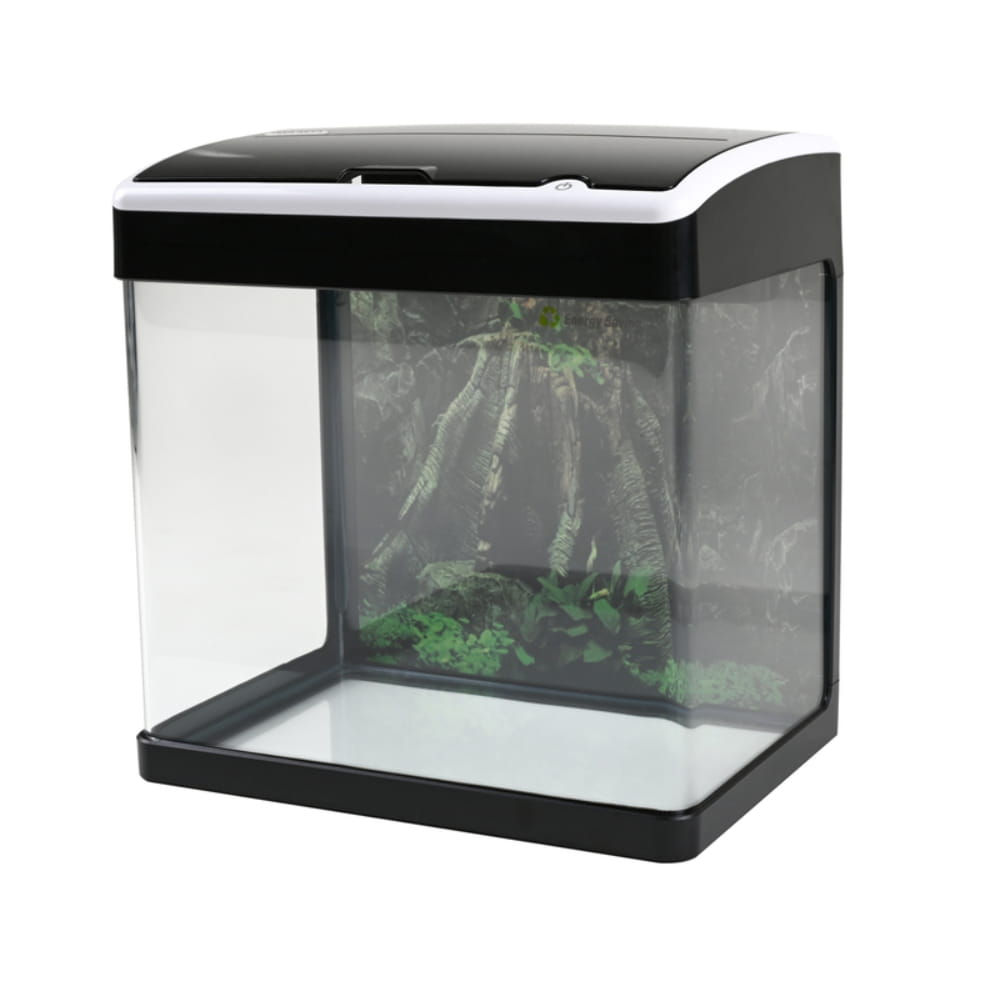 aqn biało czarne akwa5.jpg